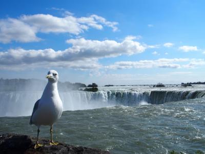 カナダの旅（ナイアガラ編）