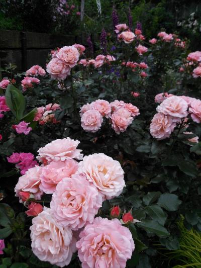 2015.05 熱海 ニューアカオ