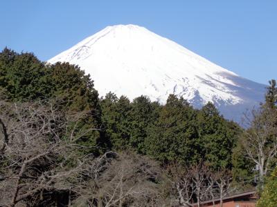 富士山を見に伊豆へ
