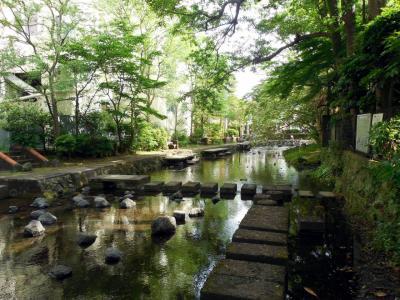 せせらぎの街三島散歩前編（みしまコロッケ編）