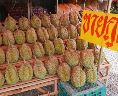 パタヤ～北部の旅　2日目　☆ナーン泊☆