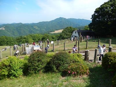 五月晴れの東秩父・皇鈴山ハイキング③秩父高原牧場～二本木峠～打出