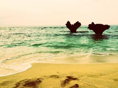 THE沖縄本土定番コース  -2015,04- 