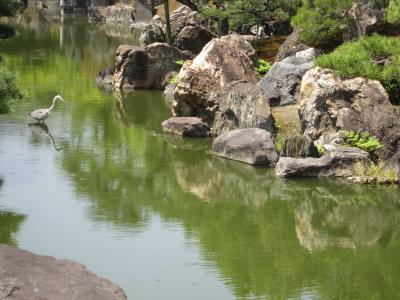 兄弟・姉妹会（第七回）～世界遺産　二条城　二の丸御殿庭園（特別名勝）