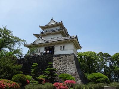 休館前の小田原城へ