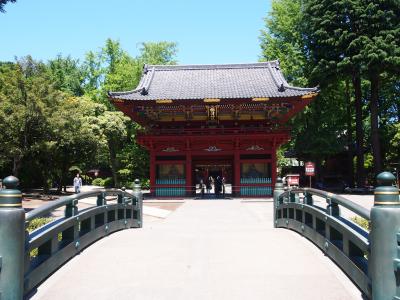 春の根津神社
