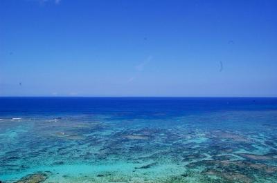 フルーツをもとめてin沖縄1日目