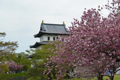 北海道花巡りドライブの旅・その１（松前公園）
