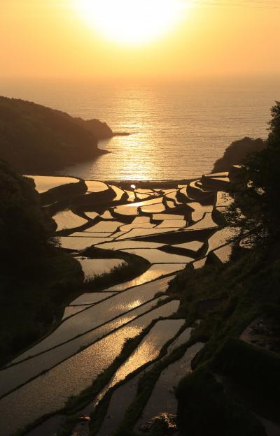 絶景を求めて春の九州ドライブ旅行　（３）呼子・加部島・浜野浦の棚田