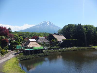 初夏の富士山・・・・・②忍野八海周辺