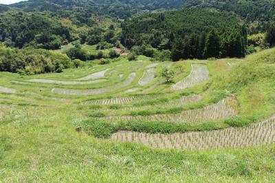 ワンコと一緒にしぶごえ千倉に宿泊。観光は大山千枚田と養老渓谷へ。