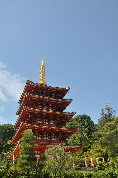 あじさい祭り　-１　　　　　IN　高幡不動尊