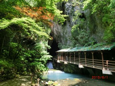 (5)悠久の歴史が刻んだ自然美の秋芳洞・秋吉台