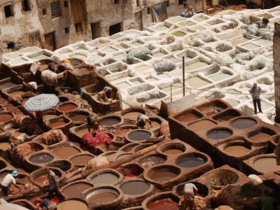 モロッコに魅せられて⑤【フェズ編:前半】