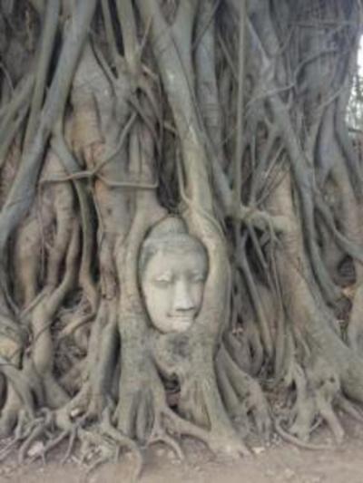 タイ☆バンコクとアユタヤあっちこっち