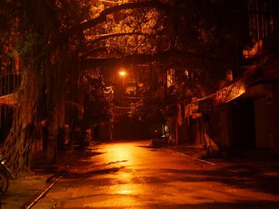 夜明け前、ハノイ、ホアンキエム湖近く。お肉解体通り。ホラーの嫌いな人は見ないでください。