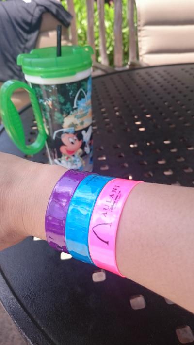 2015年5月アウラニ滞在記前編