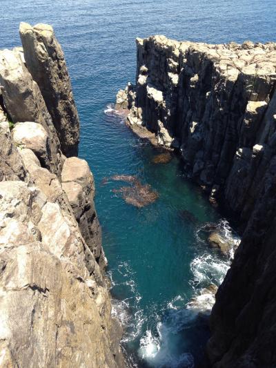 芦原温泉（１泊２日）