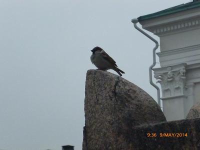 2014GW　VIE&amp;HEL　7日目