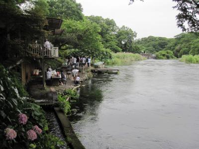 柿田川の河畔でBBQを楽しみました。