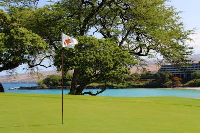 BIG ISLAND GOLF
