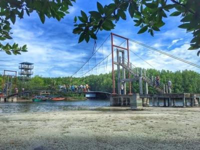 マングローブのツアー