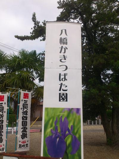 知立　かきつばた園と無量寿寺