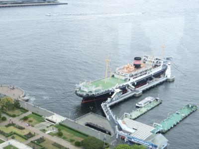 今更ながら初めて乗船♪氷川丸