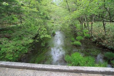 梅雨前に駆け込み長野2泊3日②～上高地編～