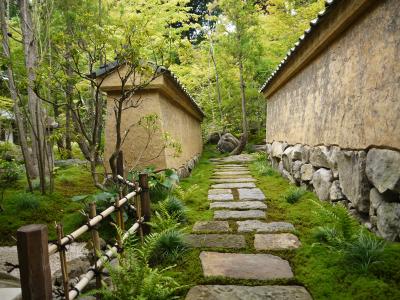 女性社員が企画！ザゆるり旅♪和洋折衷創作料理と早咲きラベンダー鑑賞　2-1　武雄市の高野寺編