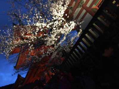 花魁体験しちゃったり、ちょっと大人の京都旅