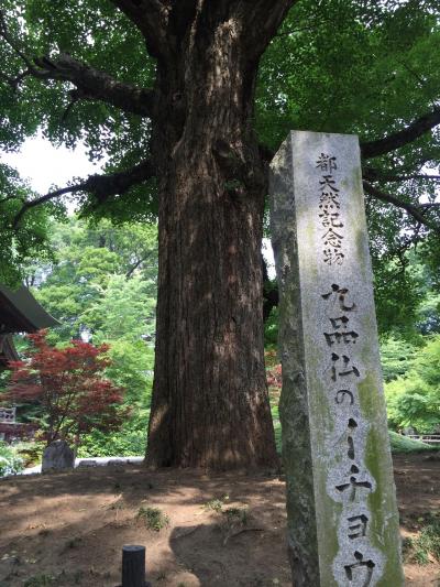 自由が丘～等々力～上野毛の街歩き