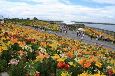 大阪舞洲ゆり園