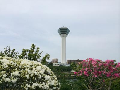 道南の花巡り～2日目