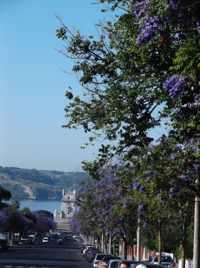 ポルトガル　ジャカランタと世界遺産-2