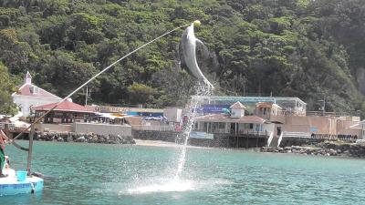 2015年5月、思い立って思い出の伊豆下田に行って来ました