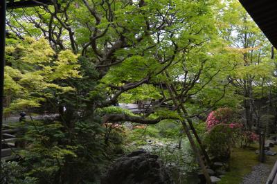 緑の京都