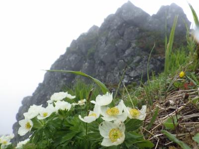 2015年初夏道東　花の藻琴山を歩く♪♪