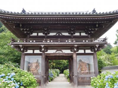 京都・福知山の丹波あじさい寺へ