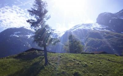 ホーランドアメリカラインダム号で行くヨーロッパクルーズEidfjord 編