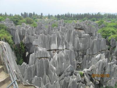 昆明の石林風景区・カルスト郡・その３