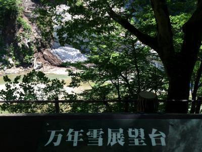 LOVE富山！宇奈月・トロッコ・回転寿司 