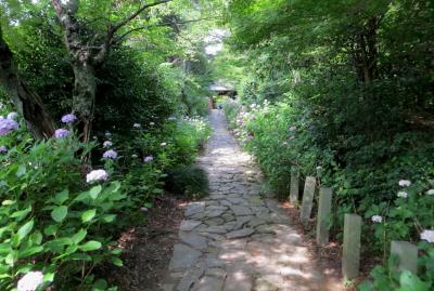 2015梅雨、三河の紫陽花：本光寺(1/4)：JR三ヶ根駅、石畳の参道、瑞雲山・山門、本堂