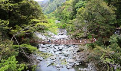 祖谷のかずら橋と琵琶の滝