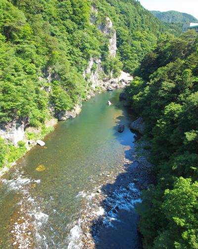 渓谷美を臨める鬼怒楯岩大吊橋、新しくなった日光さる軍団で猿たちの芸を楽しみました/栃木・日光