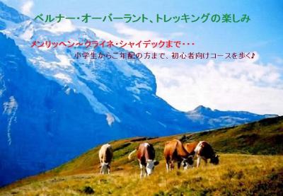 【リニューアル】スイス、ベルナーオーバーラント:メンリッヘン(素晴しい展望とハイキング)