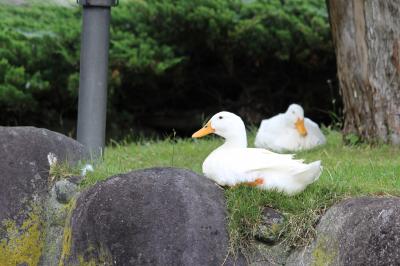 小さな町でのんびり散歩