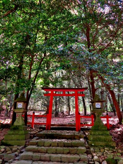 奈良1/8　春日大社 式年造替　御本殿公開と御仮殿参拝　☆摂末社めぐりも