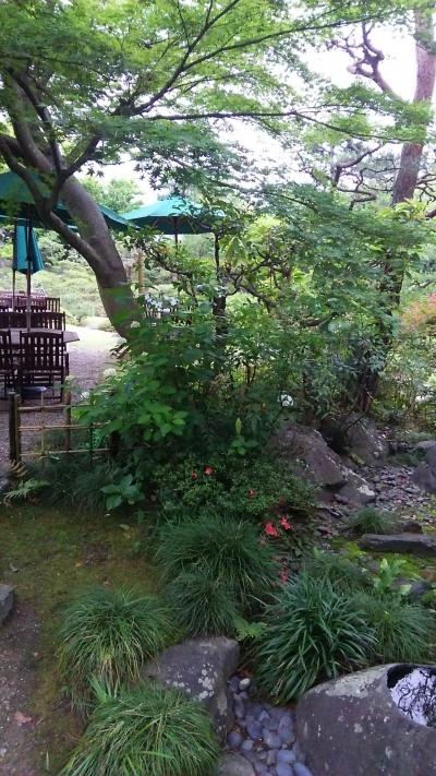 楽々荘亀岡②庭園を拝んで贅沢和食のお夕食🎵