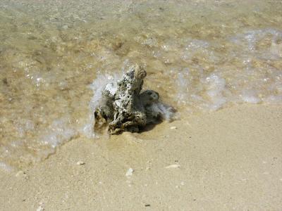 マニラ、ボラカイ島の旅(3)